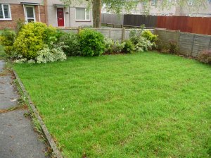 Front garden with turf