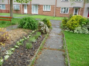 Front garden with realigned plantage